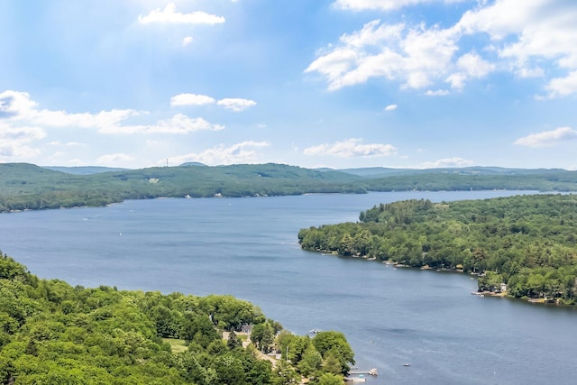 15 W Orchard Ln, Swanville, ME 04915 - photo 45