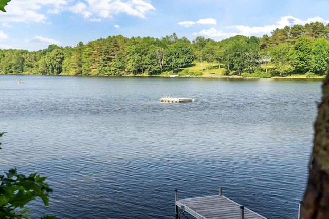 15 W Orchard Ln, Swanville, ME 04915 - photo 48