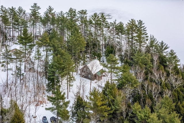 view of snowy aerial view