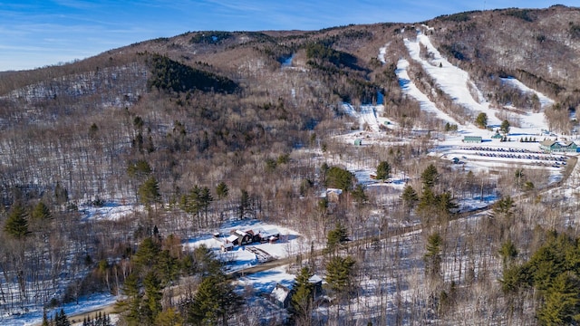 view of mountain feature