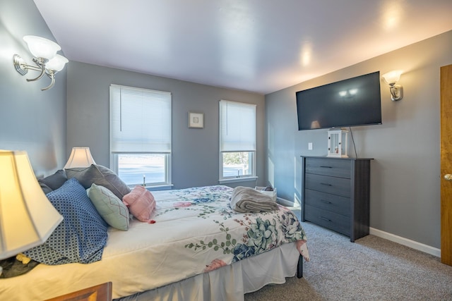 bedroom featuring carpet