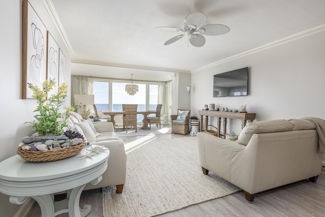 living room featuring ceiling fan with notable chandelier, wood-type flooring, and crown molding