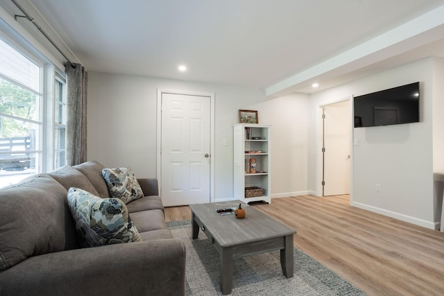 living room with light wood-type flooring