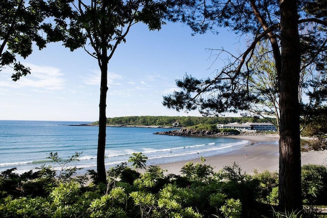 property view of water featuring a view of the beach