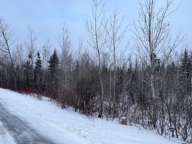 0 Plante Rd, Caribou ME, 04736 land for sale