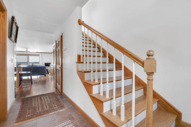 staircase featuring ceiling fan and hardwood / wood-style floors