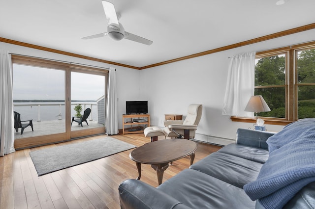 living room featuring ceiling fan, light wood-type flooring, crown molding, and baseboard heating