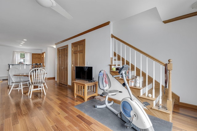 exercise room featuring crown molding, a baseboard radiator, and light hardwood / wood-style flooring