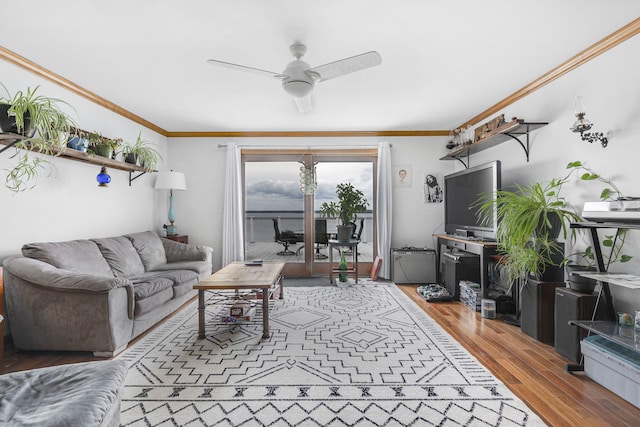 living room featuring ceiling fan, wood-type flooring, and ornamental molding