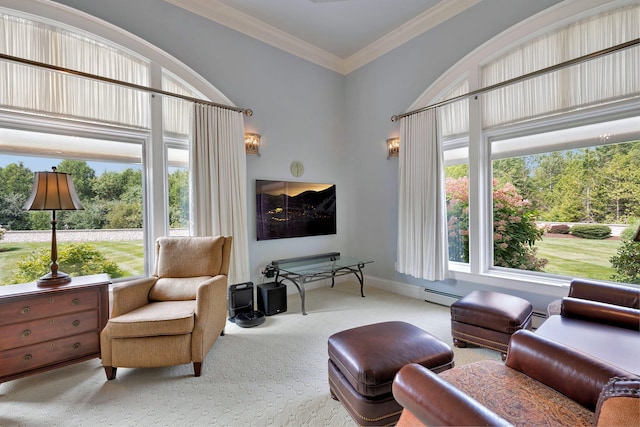 living area featuring carpet flooring, a baseboard radiator, and ornamental molding