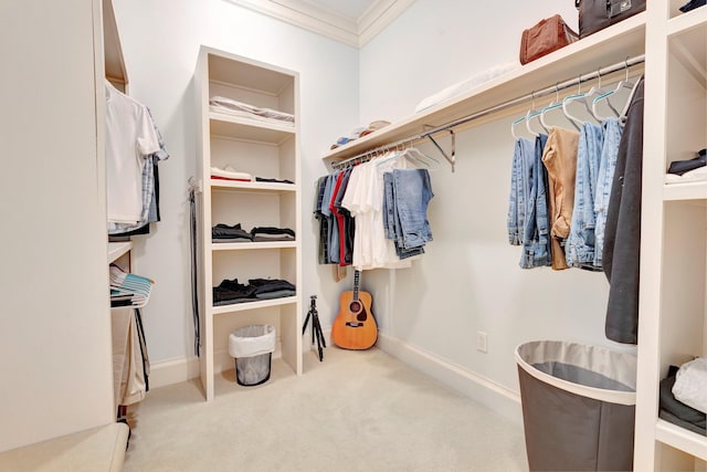 spacious closet with light carpet