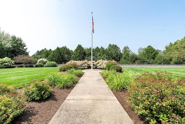 view of community with a lawn