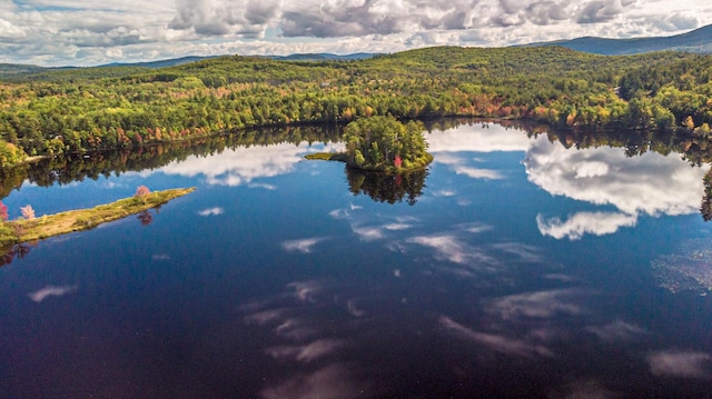 birds eye view of property featuring a water and mountain view