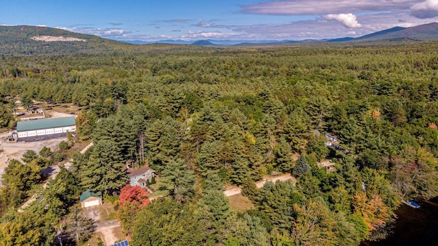 bird's eye view featuring a mountain view