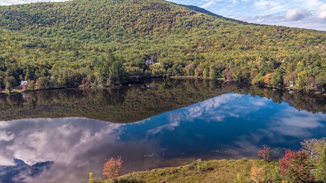 mountain view featuring a water view