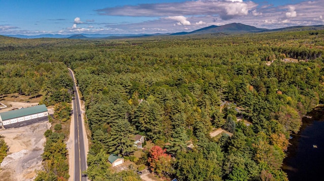 drone / aerial view with a mountain view