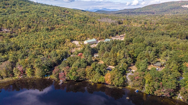 drone / aerial view with a water and mountain view