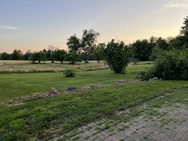 view of yard at dusk