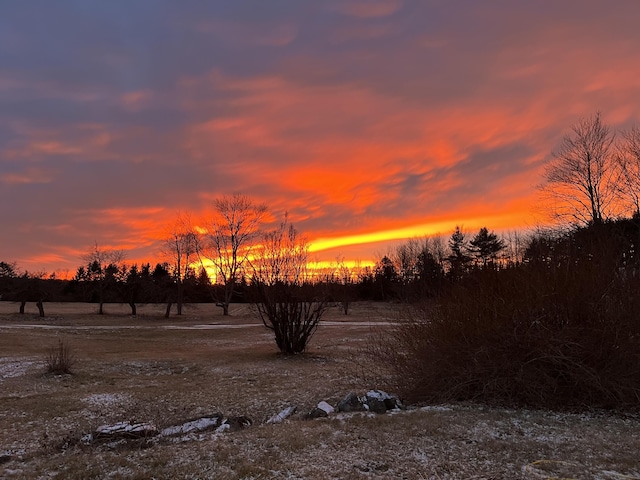 view of nature at dusk