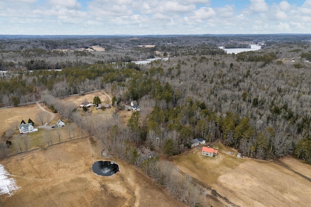 35 Cushman Rd, Nobleboro, ME 04555 - drone / aerial view with a water view and a view of trees