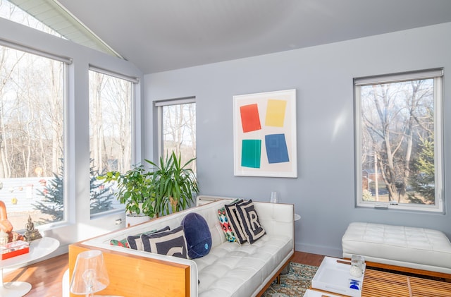 living room featuring lofted ceiling and wood-type flooring