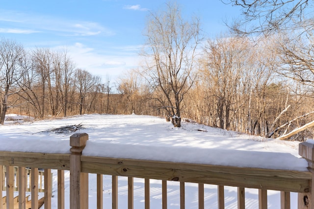 view of yard covered in snow