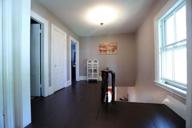 hall with a wealth of natural light and dark hardwood / wood-style floors