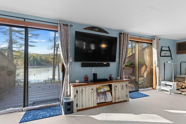151 Mountain View Dr, Acton, ME 04001 - carpeted living room featuring a textured ceiling