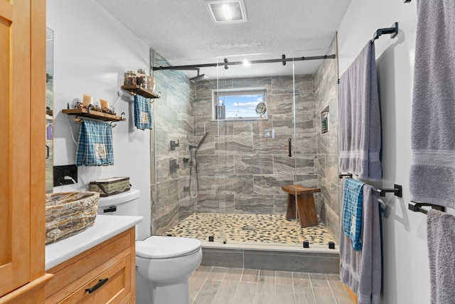 151 Mountain View Dr, Acton, ME 04001 - bathroom with a shower with door, vanity, a textured ceiling, and toilet