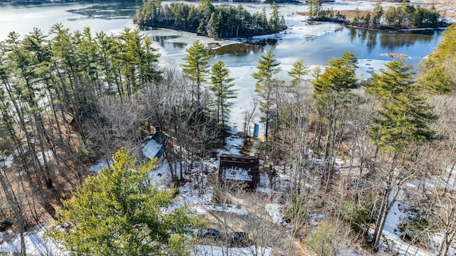 151 Mountain View Dr, Acton, ME 04001 - birds eye view of property featuring a water view