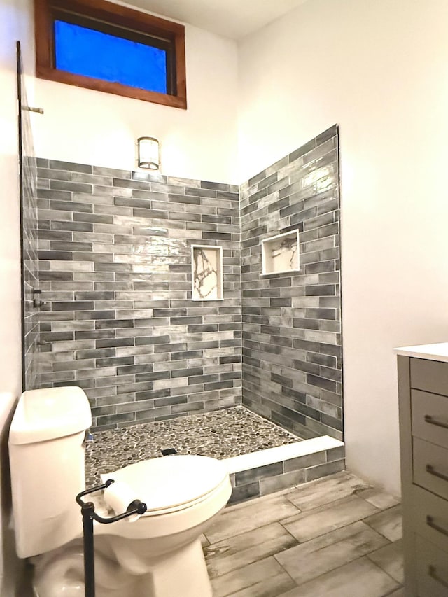 151 Mountain View Dr, Acton, ME 04001 - bathroom with a shower, vanity, and toilet