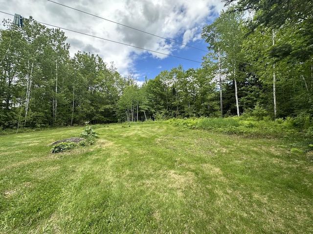 119 Fenderson Hill Hill N, Wilton, ME 04294 - view of green lawn featuring a forest view