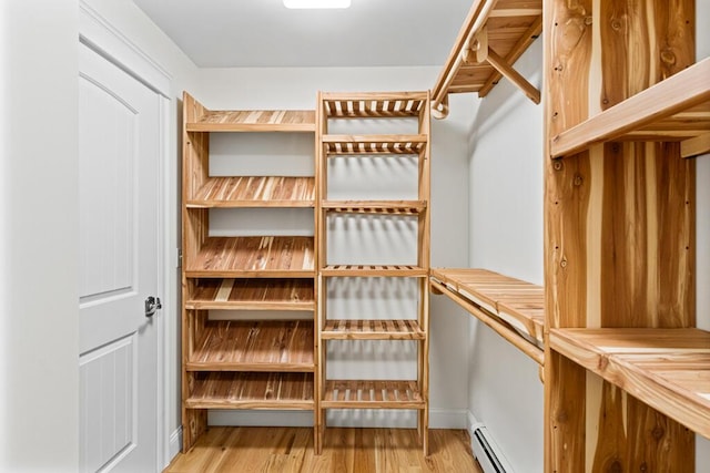 walk in closet with a baseboard radiator and light hardwood / wood-style floors