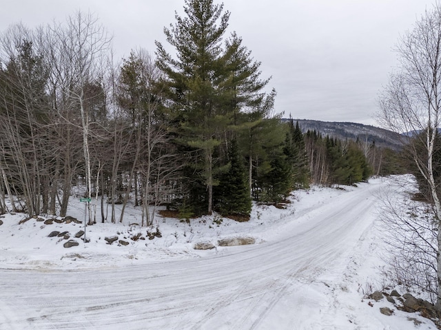 LOT18 Second St, Bethel, ME 04217 - photo 7