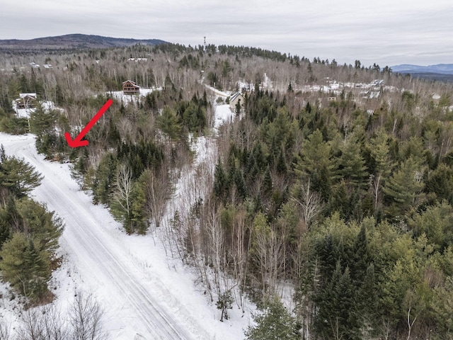 LOT18 Second St, Bethel, ME 04217 - photo 8