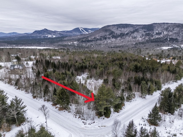 LOT18 Second St, Bethel, ME 04217 - photo 9