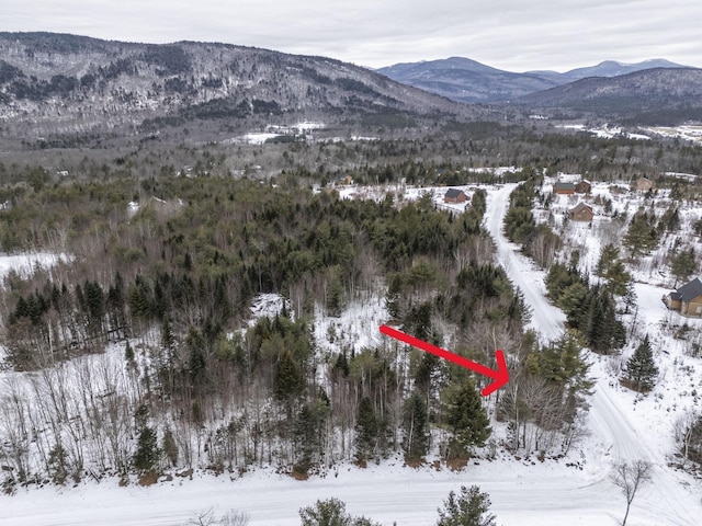 LOT18 Second St, Bethel, ME 04217 - photo 10