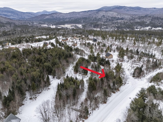 LOT18 Second St, Bethel, ME 04217 - photo 11