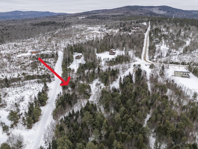 LOT18 Second St, Bethel, ME 04217 - photo 12