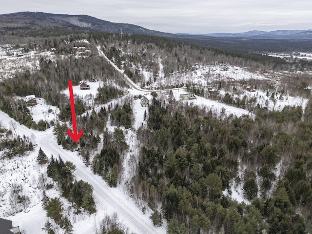 LOT18 Second St, Bethel, ME 04217 - photo 13