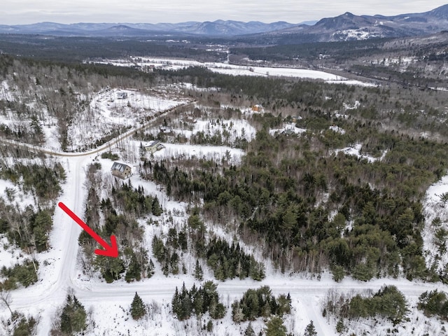 LOT18 Second St, Bethel, ME 04217 - photo 14