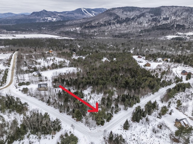 LOT18 Second St, Bethel, ME 04217 - photo 15