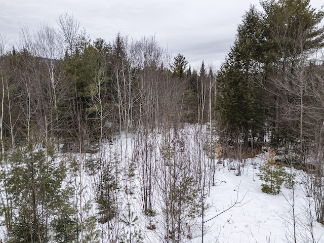 LOT18 Second St, Bethel, ME 04217 - photo 16