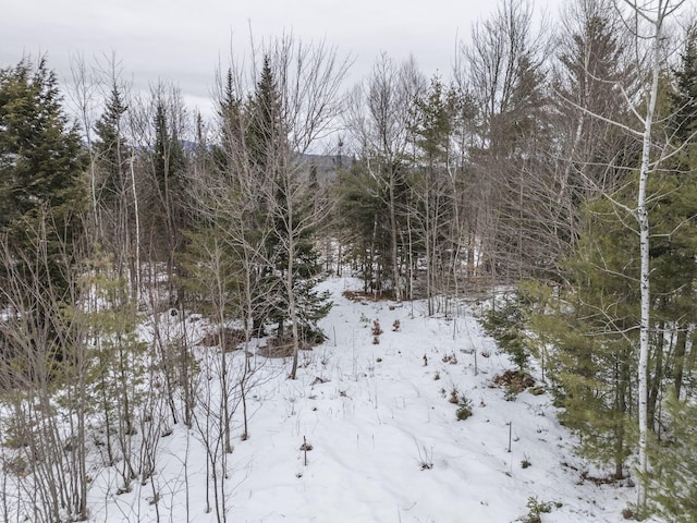 LOT18 Second St, Bethel, ME 04217 - photo 17