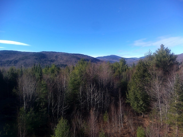 LOT18 Second St, Bethel, ME 04217 - photo 6
