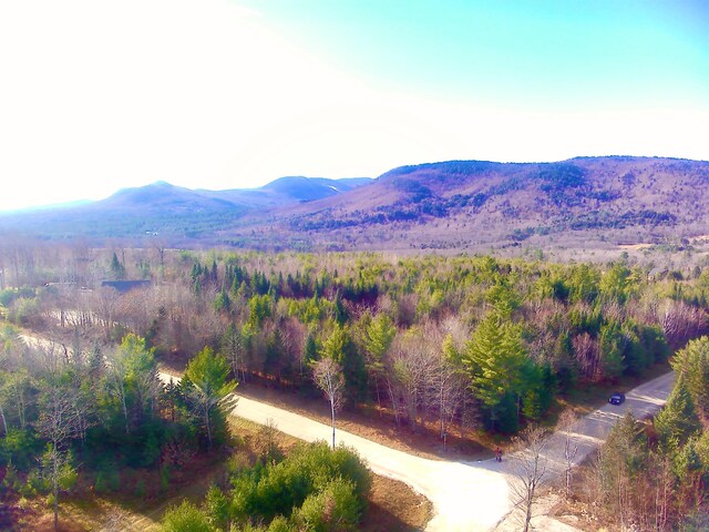 LOT18 Second St, Bethel, ME 04217 - photo 4