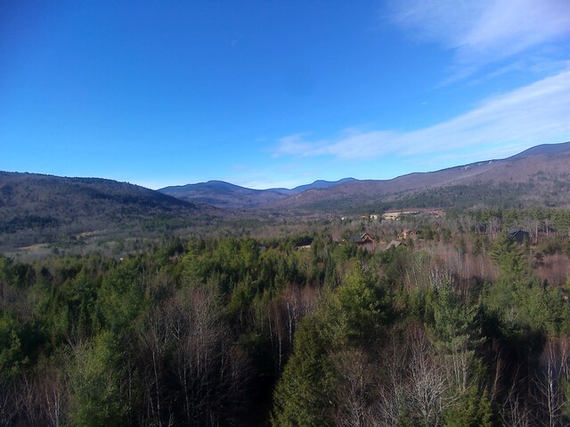 LOT18 Second St, Bethel, ME 04217 - photo 5