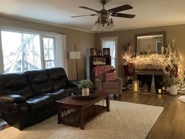 living room with ceiling fan, wood-type flooring, and ornamental molding