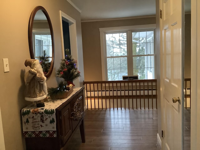 hallway featuring dark hardwood / wood-style floors and ornamental molding