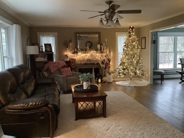 living room featuring hardwood / wood-style flooring, ceiling fan, and ornamental molding